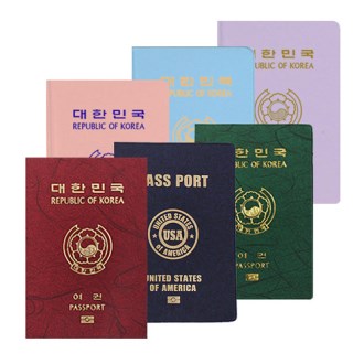 �Ľ��� ���� �������̽�