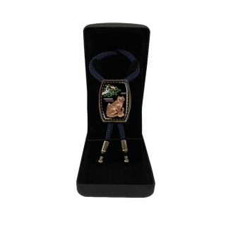 �ڰ� ��Ÿ�� (����, ����)